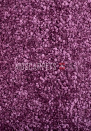 Ковролин Monte Bianco 15 фиолетовый